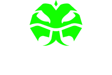 Tuatara